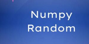 numpy random